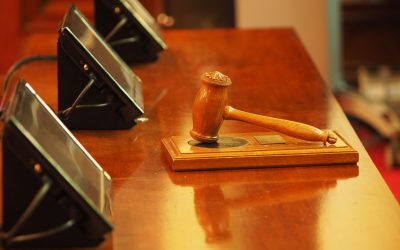 Le Jour où votre Robot de Cuisine Vous a Poursuivi en Justice